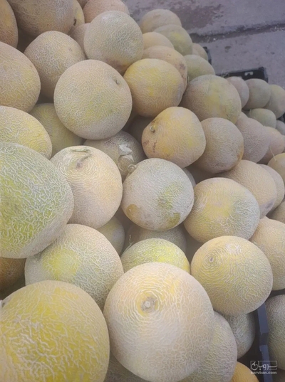 فروش ملون