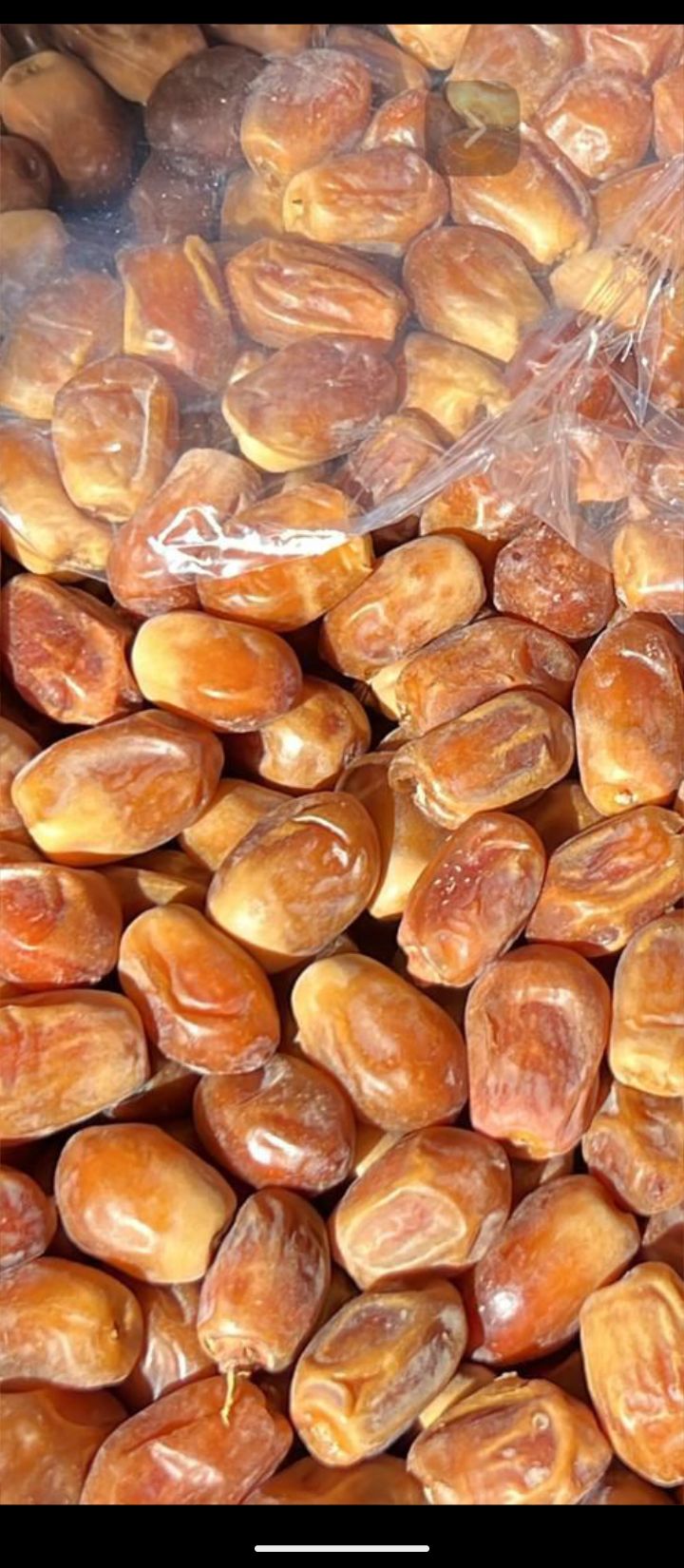 فروش خرمازاهدی