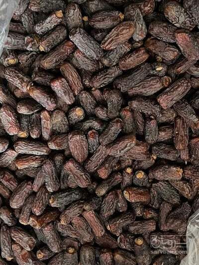 فروش خرما پیارم