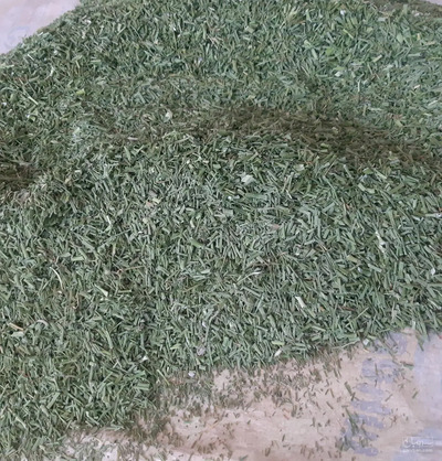 فروش تره