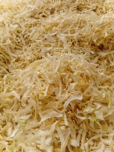 فروش پیاز خشک (گیاه‌ دارویی)