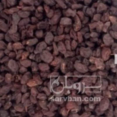 فروش کشمش