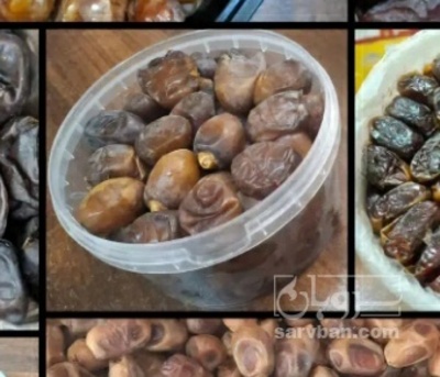 فروش خرما رطب