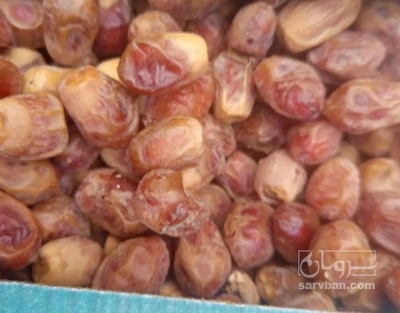 فروش خرما زاهدی