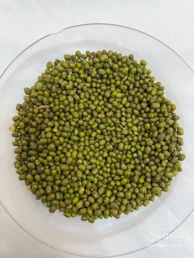 فروش ماش