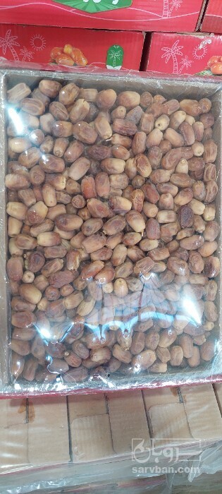 فروش خرما زاهدی