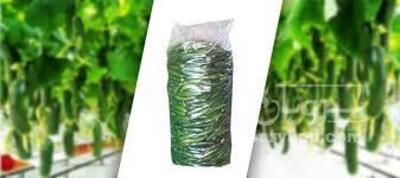 فروش خیار