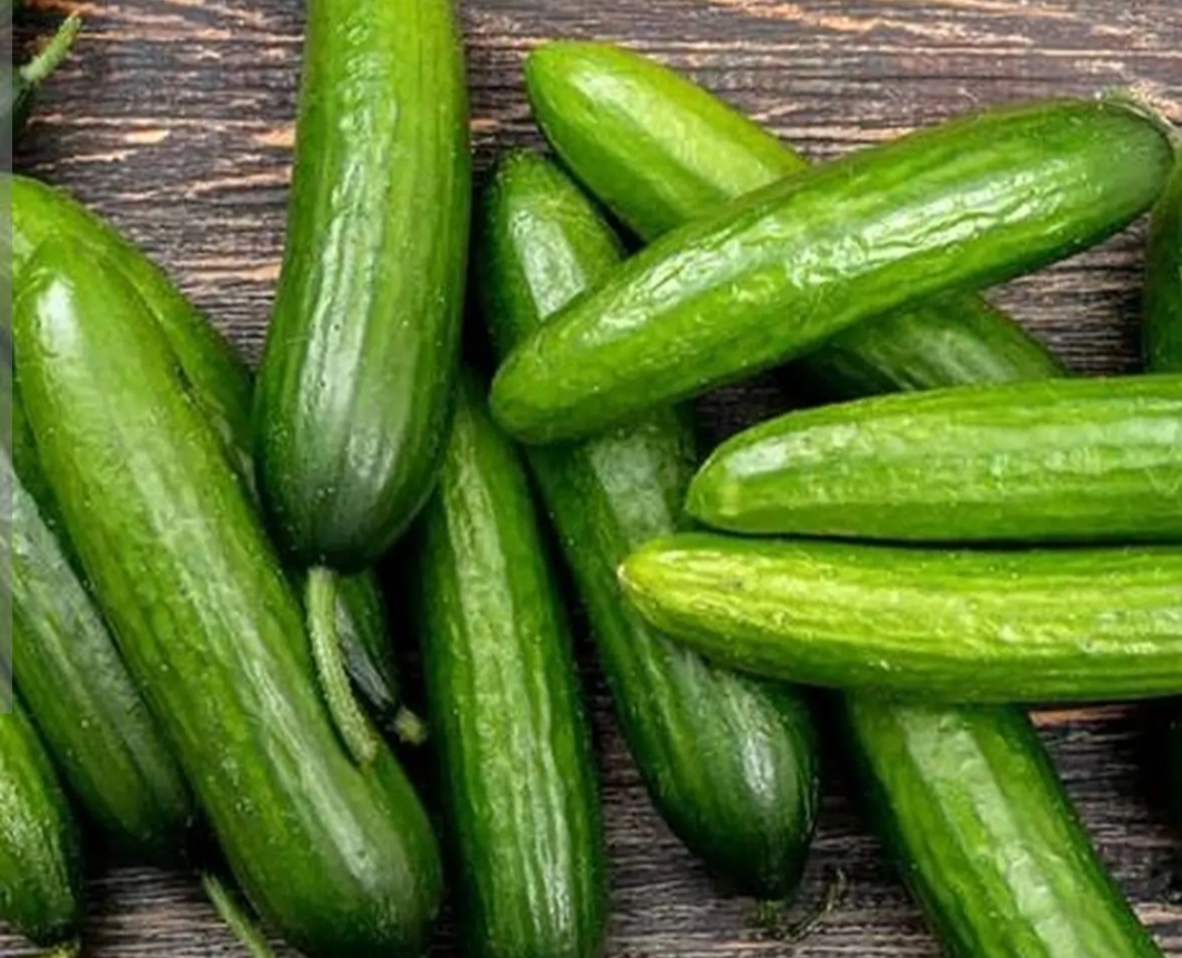 فروش خیار 2