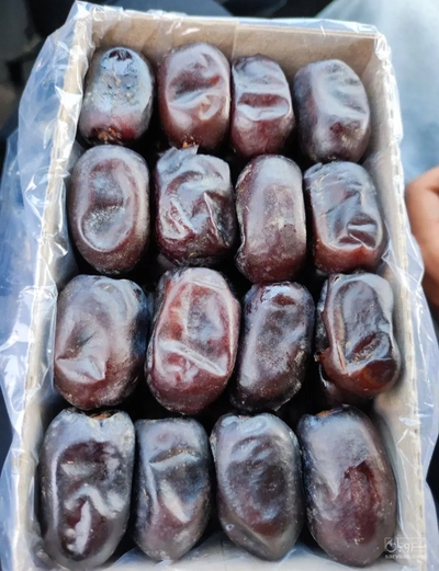 فروش خرما