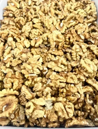 فروش گردو