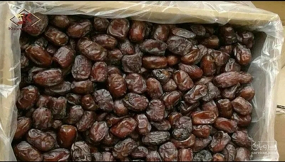 فروش خرما