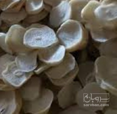 فروش موسیر کوهی پلاک