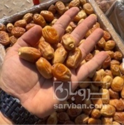 فروش خرما