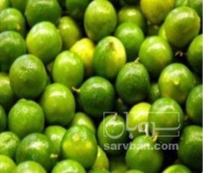 فروش لیمو ترش
