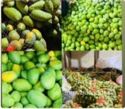 فروش انبه