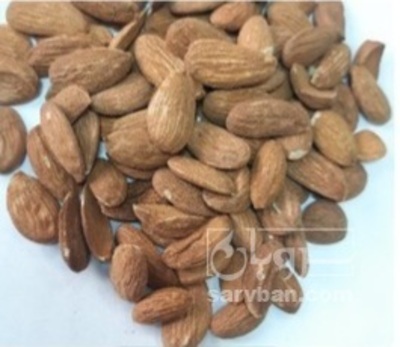 فروش بادام