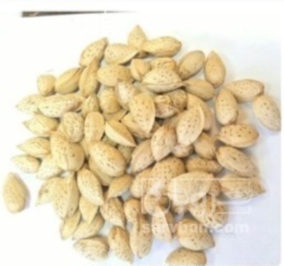 فروش بادام