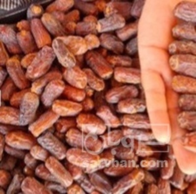 فروش خرما