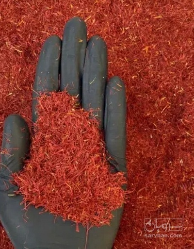 فروش زعفران  نگین (گیاه‌ دارویی)