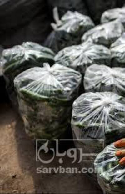 فروش خیار