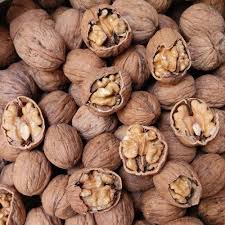 فروش گردو