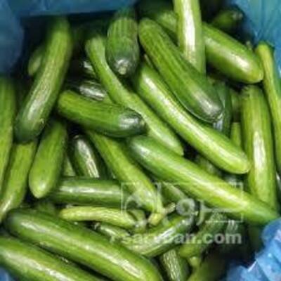 فروش خیار