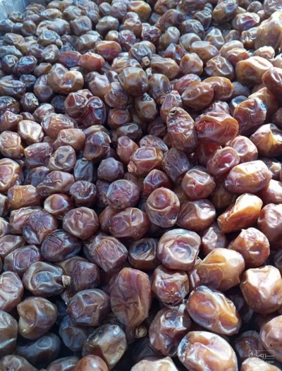 فروش خرما