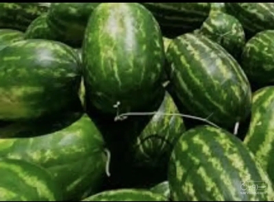 فروش هندوانه