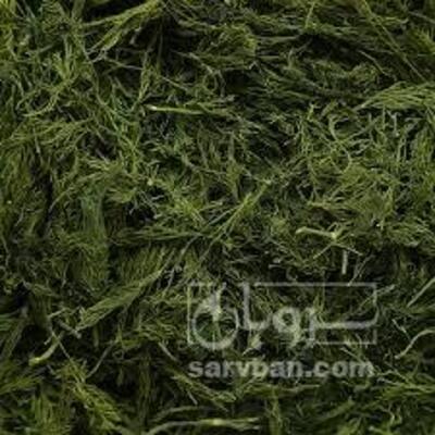 فروش شوید خشک (گیاه‌ دارویی)