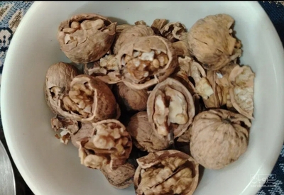 فروش گردو