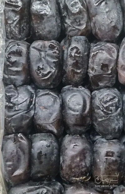 فروش خرما