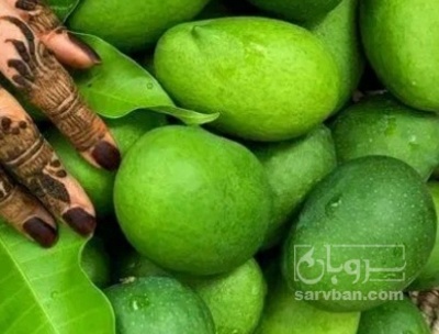 فروش انبه
