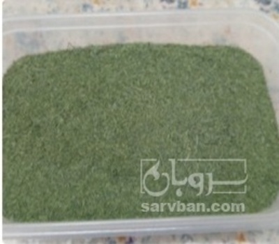 فروش شوید خشک (گیاه‌ دارویی)