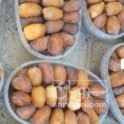 فروش خرما