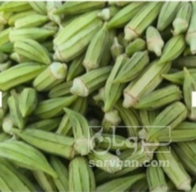 فروش بامیه
