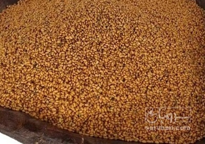 فروش کاملینا (کتان‌کش)