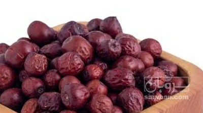فروش عناب