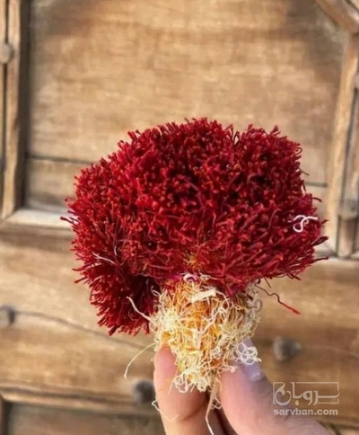 فروش زعفران  سرگل(گیاه‌ دارویی)