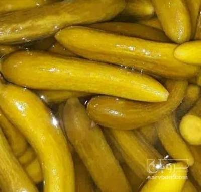 فروش خیار شور ممتاز