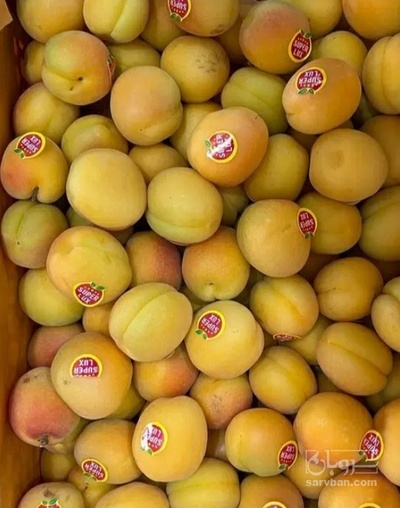 فروش زردآلو