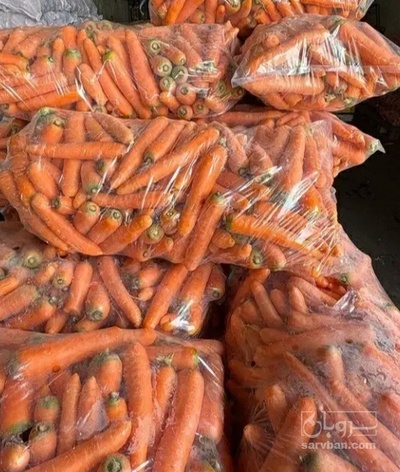 فروش هویج