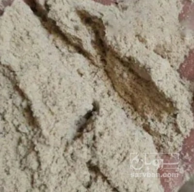 فروش اردک برنج