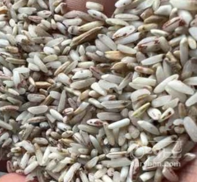 فروش ضایعات برنج