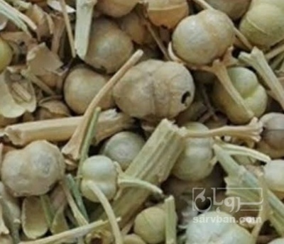 فروش  اسفند (گیاه‌ دارویی)