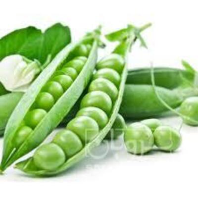 فروش نخود فرنگی