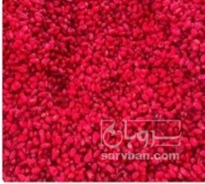 فروش زرشک