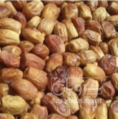 فروش خرما زاهدی