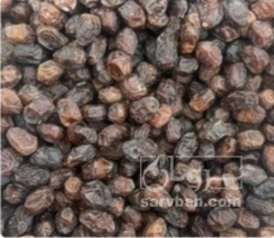 فروش خرما خاصویی