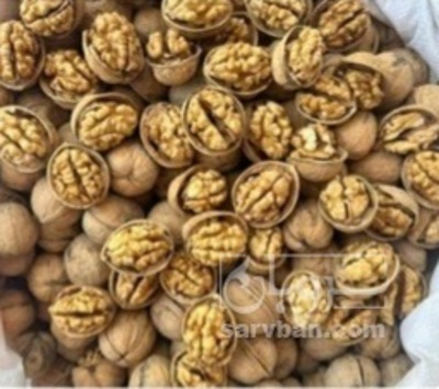 فروش گردو