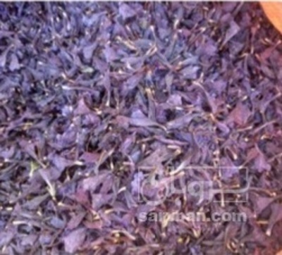فروش گل گاو زبان - گاوزبان (گیاه‌ دارویی)
